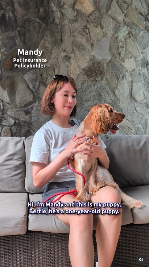 MSIG Pet